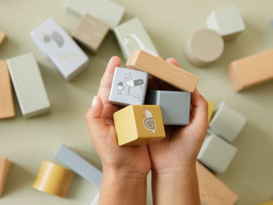 Little Dutch Blocchi da Costruzione Blu - EmotionsToy