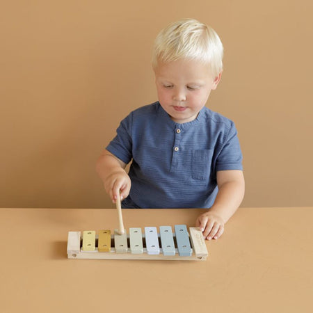 Little Dutch Xilofono in legno Blu - EmotionsToy