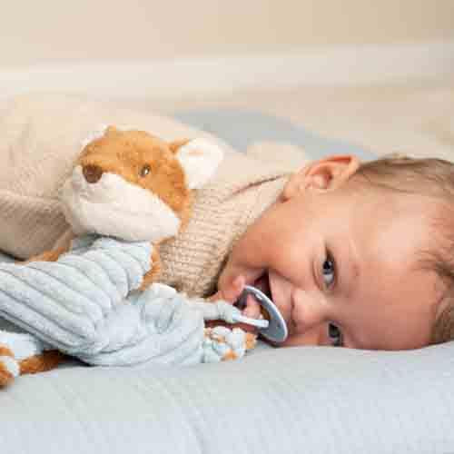 Little Dutch Doudou morbidissimo Volpe - Forest Friends
