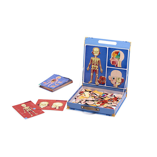 Eurekakids Corpo umano magnetico multilingue