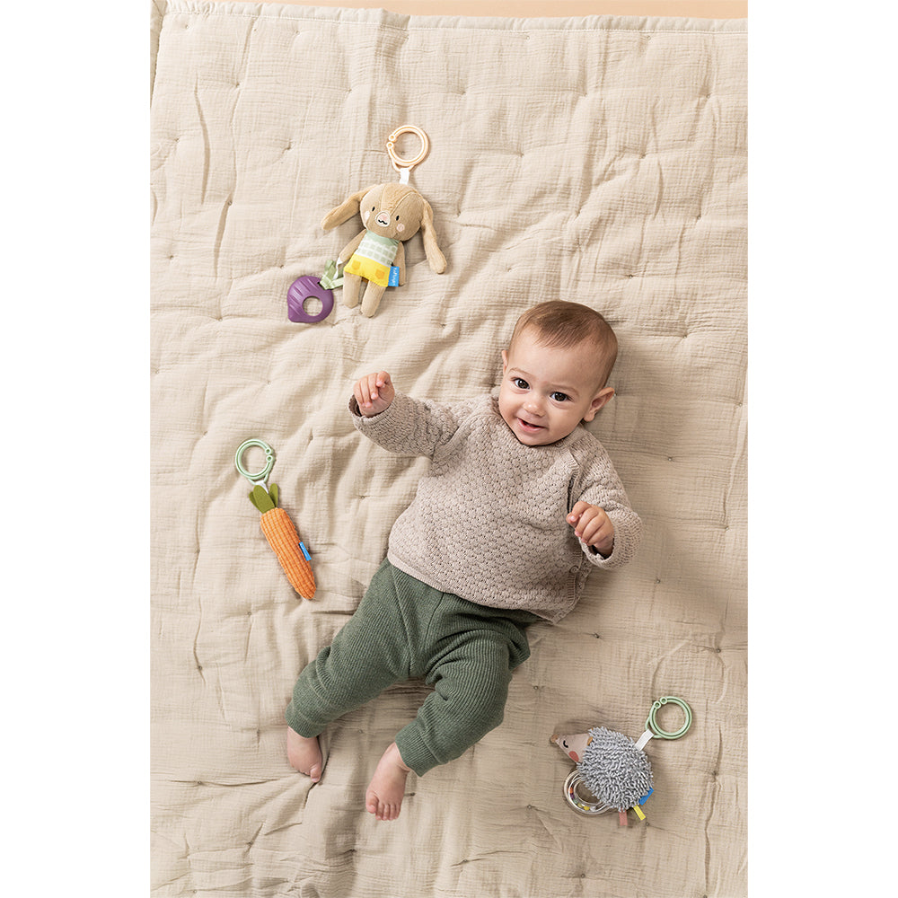 Taf Toys Activity Toys Kit
