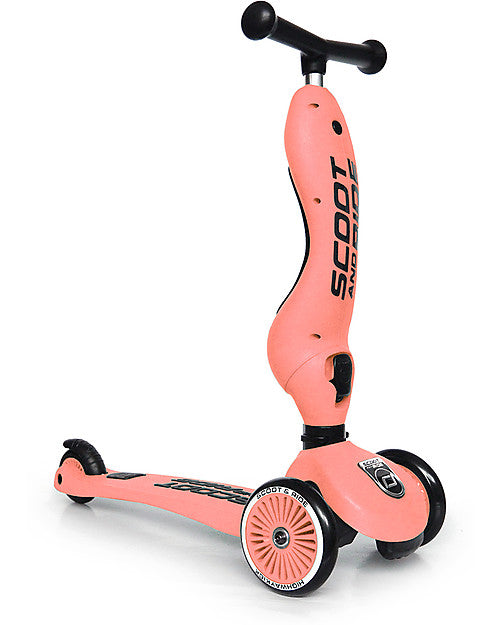 Scoot & Ride Monopattino e Triciclo 2in1 Highwaykick 1 Pesca - Da 1 a 5 anni