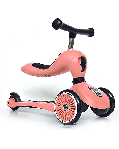 Scoot & Ride Monopattino e Triciclo 2in1 Highwaykick 1 Pesca - Da 1 a 5 anni